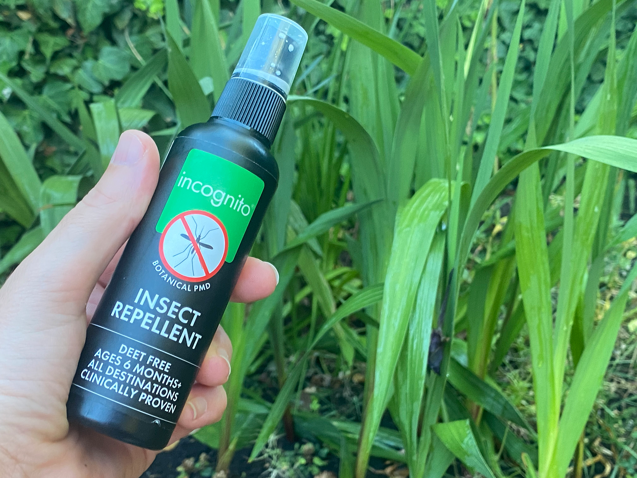 Deet free mosquito shop repellent